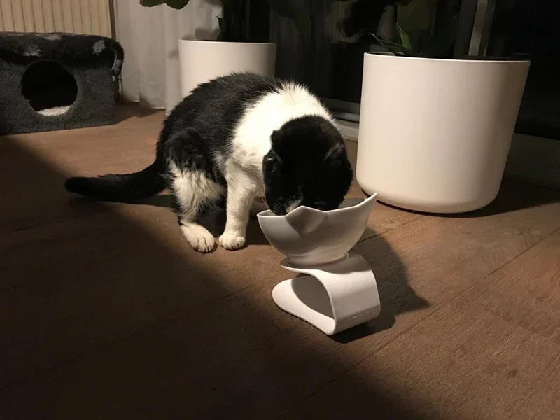 Non-Slip Double Pet Bowl with Stand | Ideal for Cats and Dogs