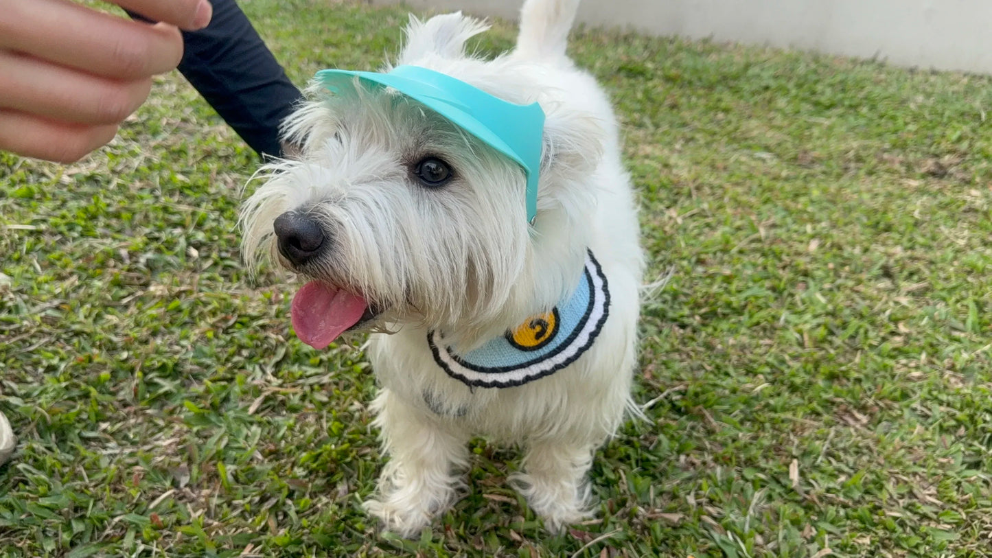 Stylish Dog Motorcycle Sun Hat | Adjustable Doggy Visor