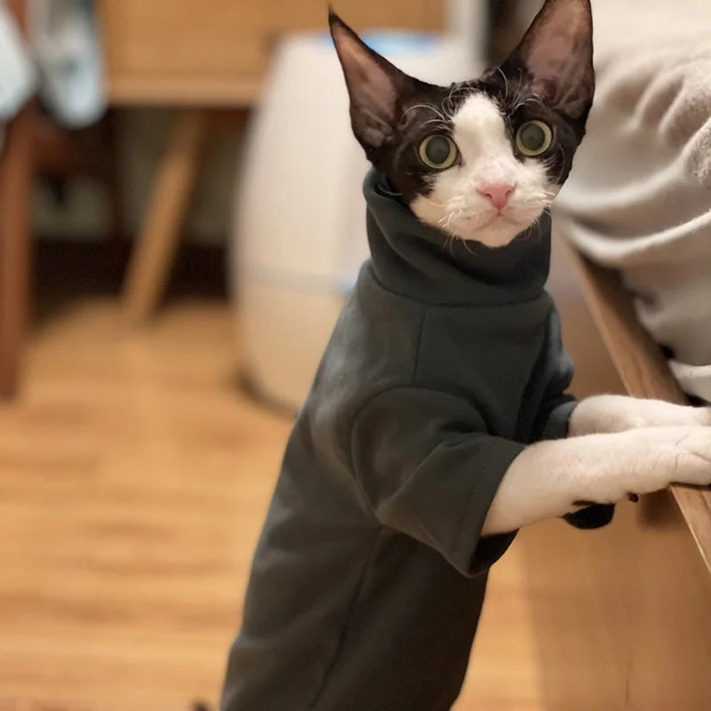 Ropa de Algodón Suave para Gatos Sin Pelo | Atuendos Cómodos y con Estilo