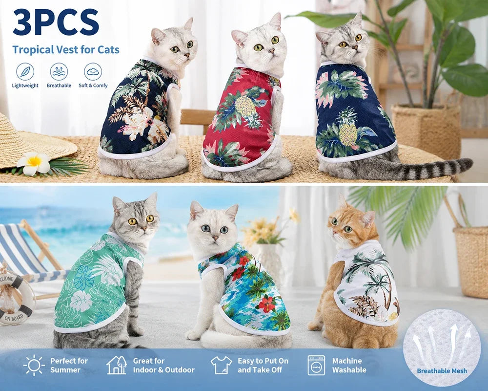 3PCS Pet Cat Vest Set Summer Breathable Mesh Sphynx Cats Clothes Shirt Lightweight Soft Puppy Kitten Outfits for Indoor Outdoor