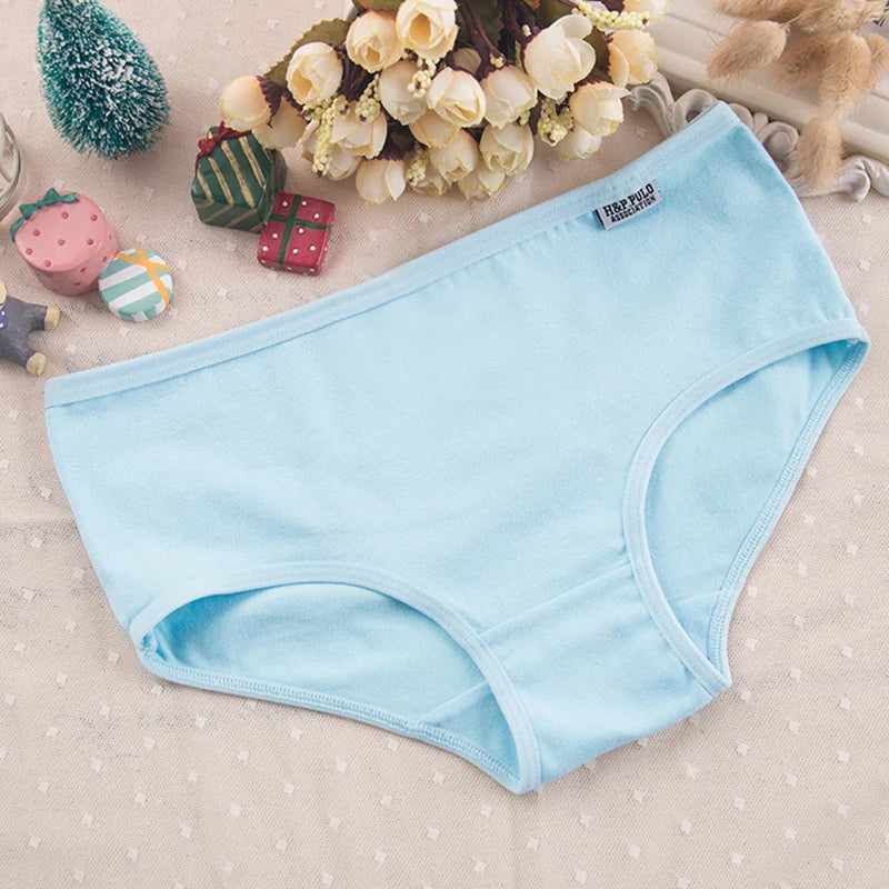 Plus Size Women's Cotton Briefs | Comfortable Sexy Lingerie Set
