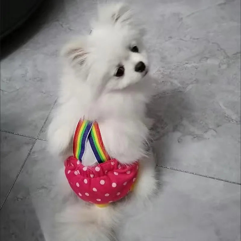 Denim Dog Shorts for Small & Medium Dogs | Stylish Pet Underwear