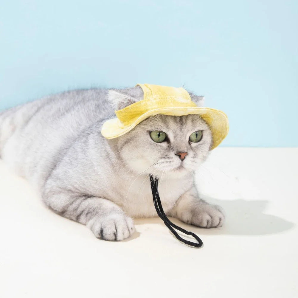 Adjustable Dog Baseball Cap with Ear Holes | Summer Pet Hat