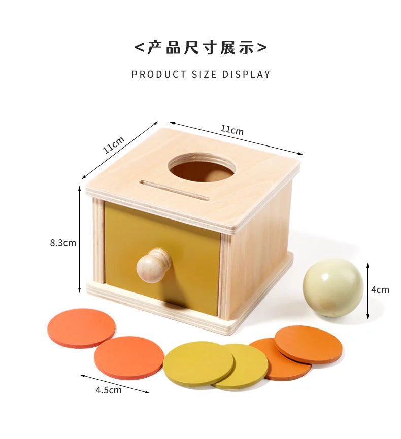 Montessori Puzzle Box for Infants | Develop Hand-Eye Coordination