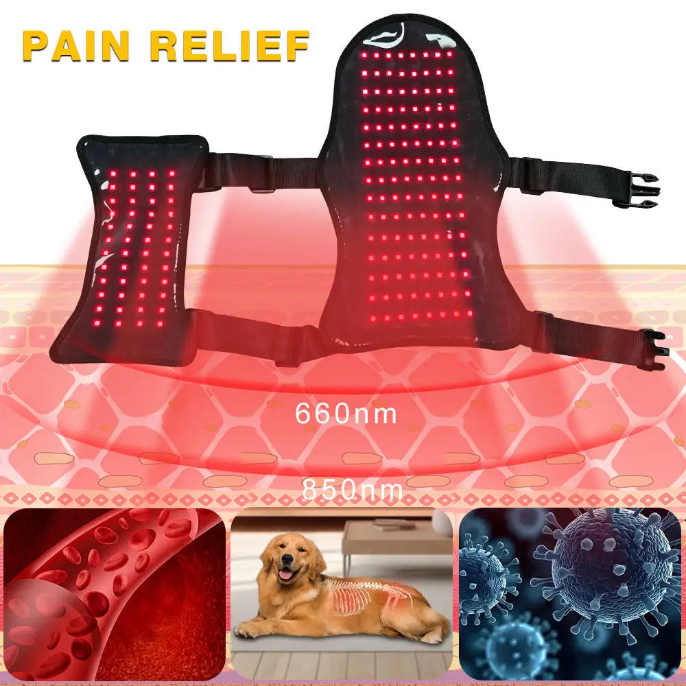 Red Light Therapy Belt for Pets | Pain Relief for Dogs & Cats