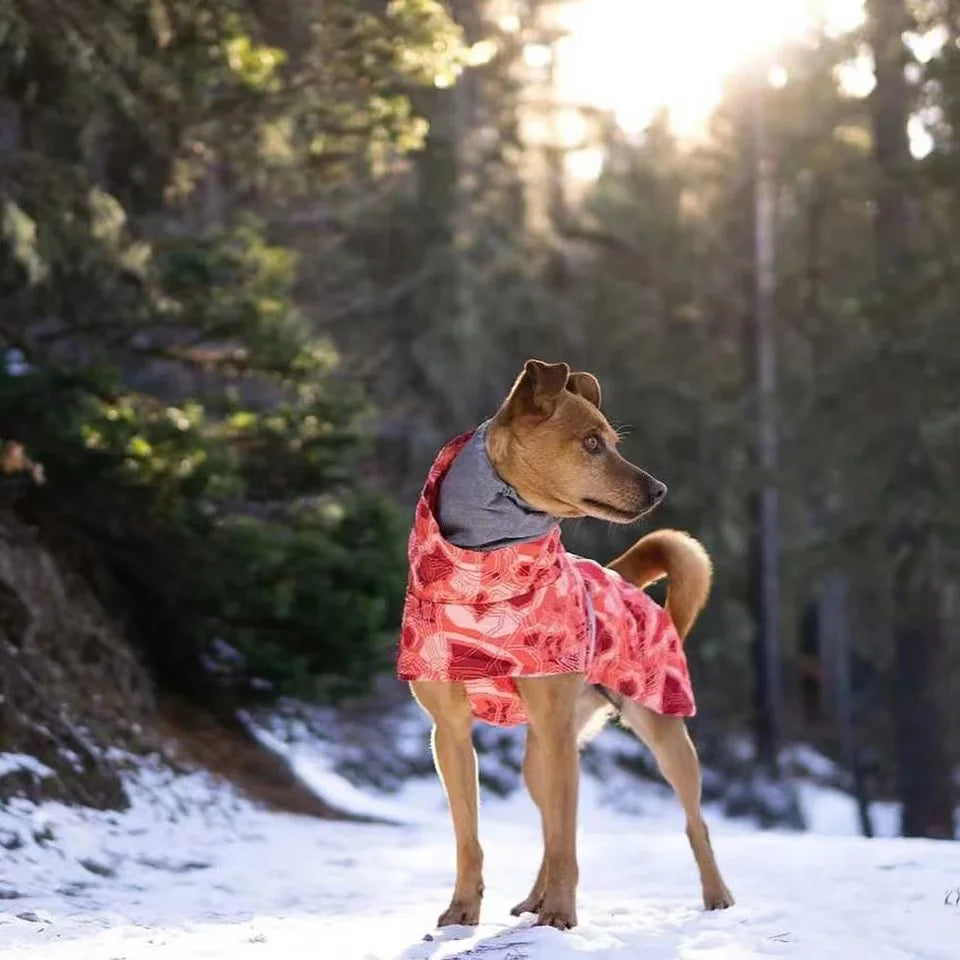 Waterproof Winter Dog Jacket | Cozy Warm Jacket for All Dogs