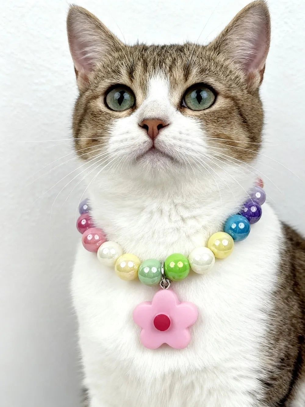 Adjustable Beaded Cat Flower Pendant Neck Chain | Pet Jewelry