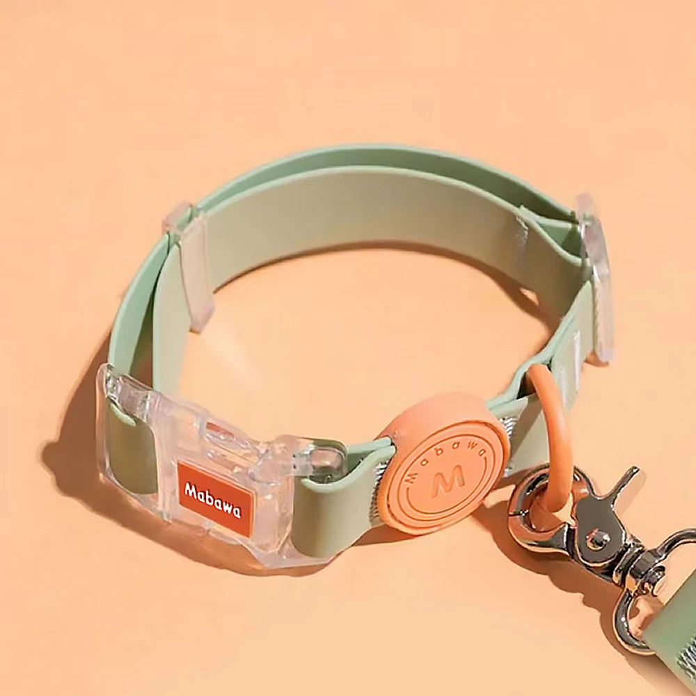 Trendy Transparent Buckle Pet Collar | Perfect for Small Dogs & Cats