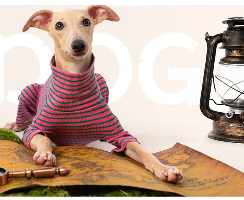 Four Legged Spring Pet Dog Jumpsuit | Comfortable Dog Apparel