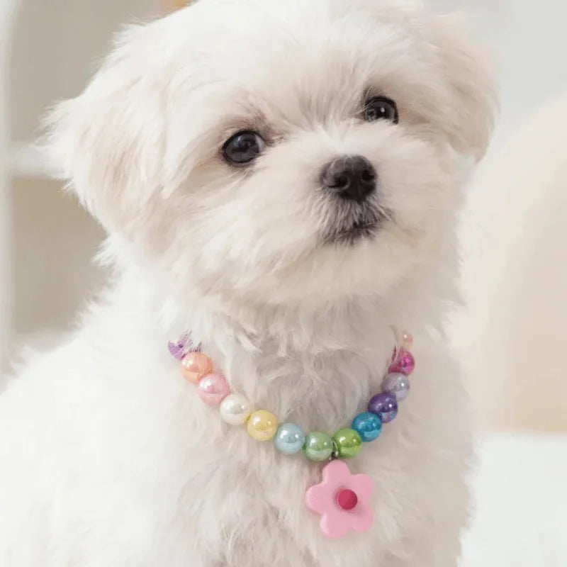 Adjustable Beaded Cat Flower Pendant Neck Chain | Pet Jewelry