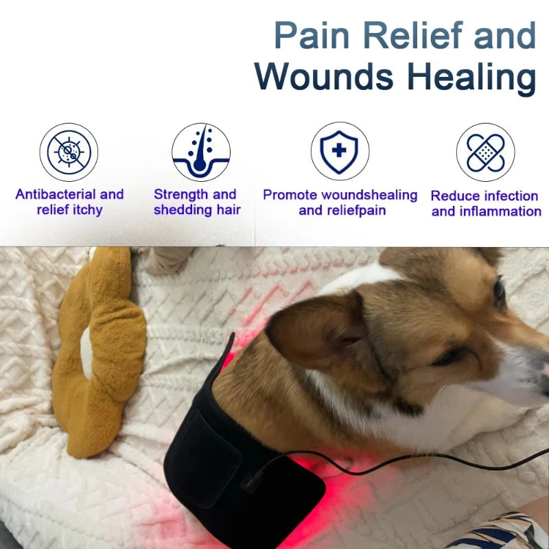 Red Light LED Therapy Device for Pet Pain Relief | Non-Invasive Healing