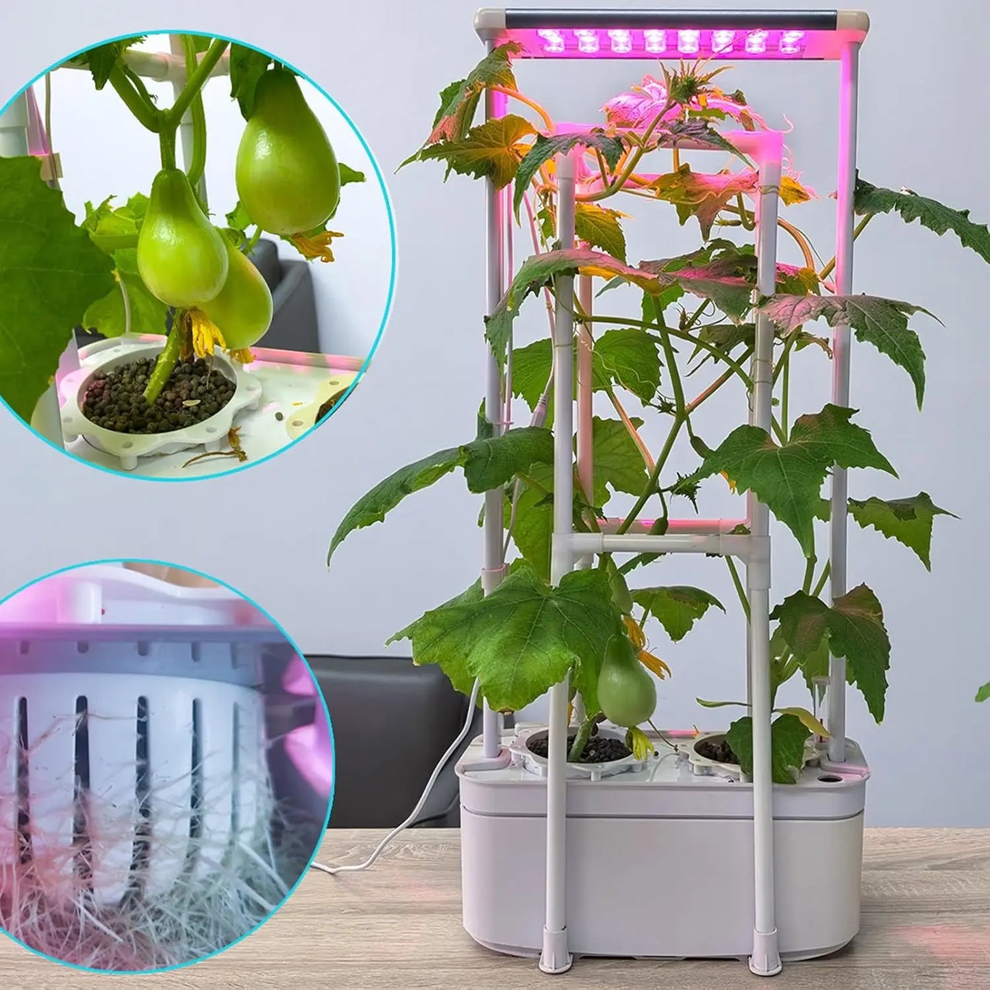 Smart Hydroponic Gardening Kit with LED Light for Indoor Plants