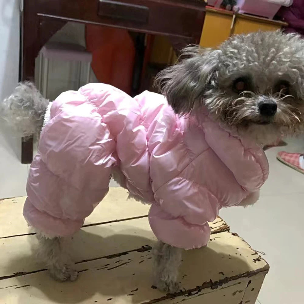 Mono impermeable de invierno para perros de razas pequeñas | Buzo cálido para mascotas