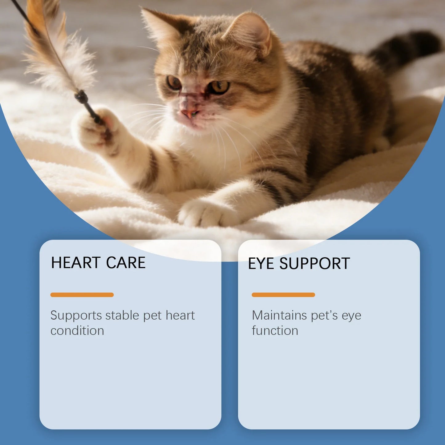 Pure Taurine Powder for Cats | Daily Health Supplement