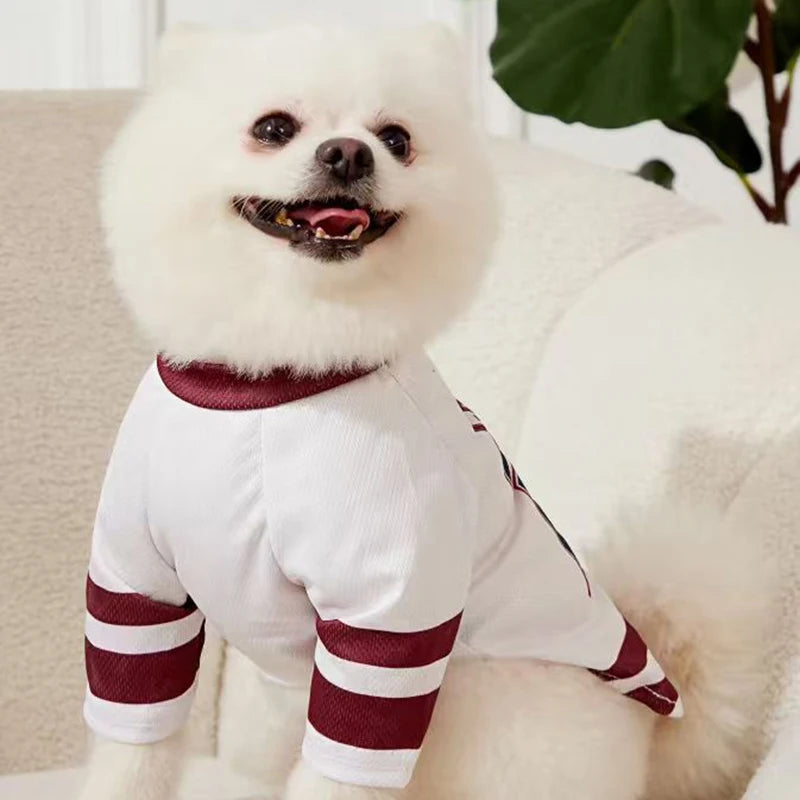 Breathable Mesh Dog Jersey | Sporty Summer Puppy Shirt
