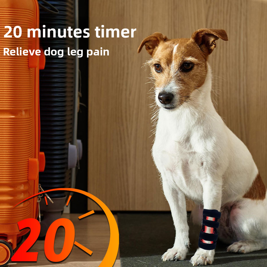 Dog Leg Red Light Therapy Device | Pain Relief & Tissue Repair