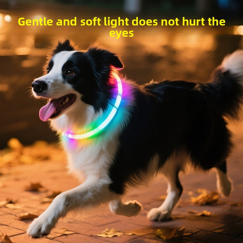 Glowing Dog Collar | Rechargeable LED Safety Neck Accessory
