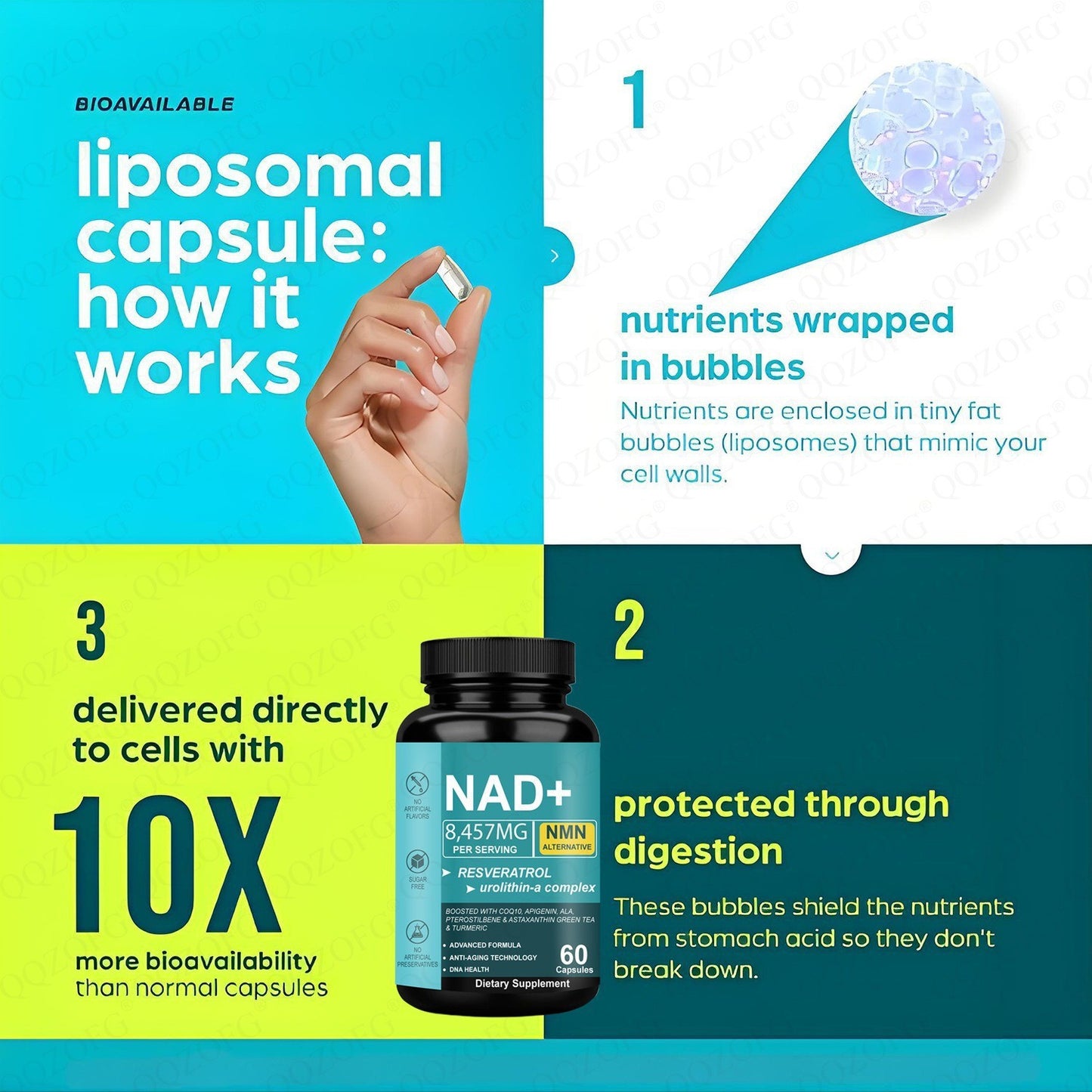NAD+ Resveratrol Supplement Capsules | Advanced Cellular Health Support