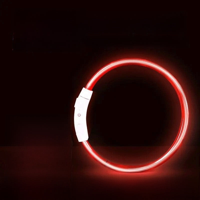 Glowing Dog Collar | Rechargeable LED Safety Neck Accessory