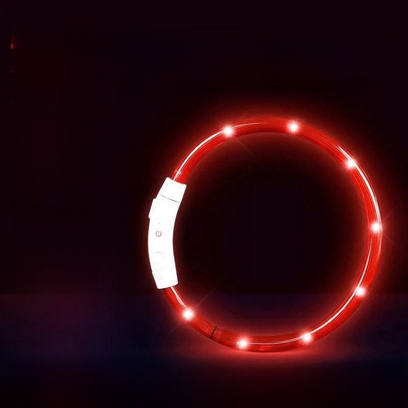 Glowing Dog Collar | Rechargeable LED Safety Neck Accessory